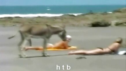 Eski amatör türk anal sluts 103 güzel